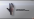 Animations_MaxiFlex_Durability