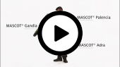 MASCOT